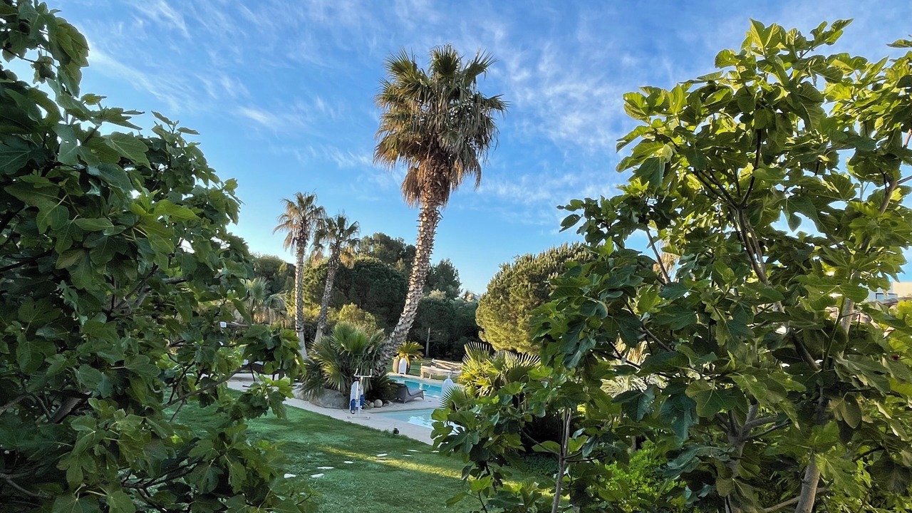 Photo of Outdoor in Saint-Nazaire