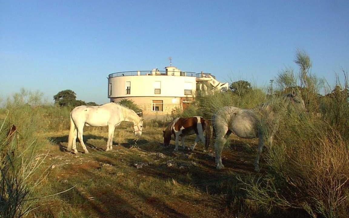 Photo of Outdoor in Rus