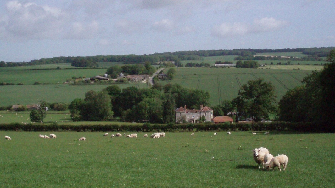 Photo of Others in Ebbesborne Wake