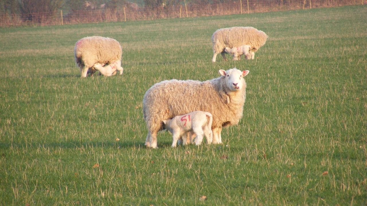 Photo of Outdoor in Ebbesborne Wake