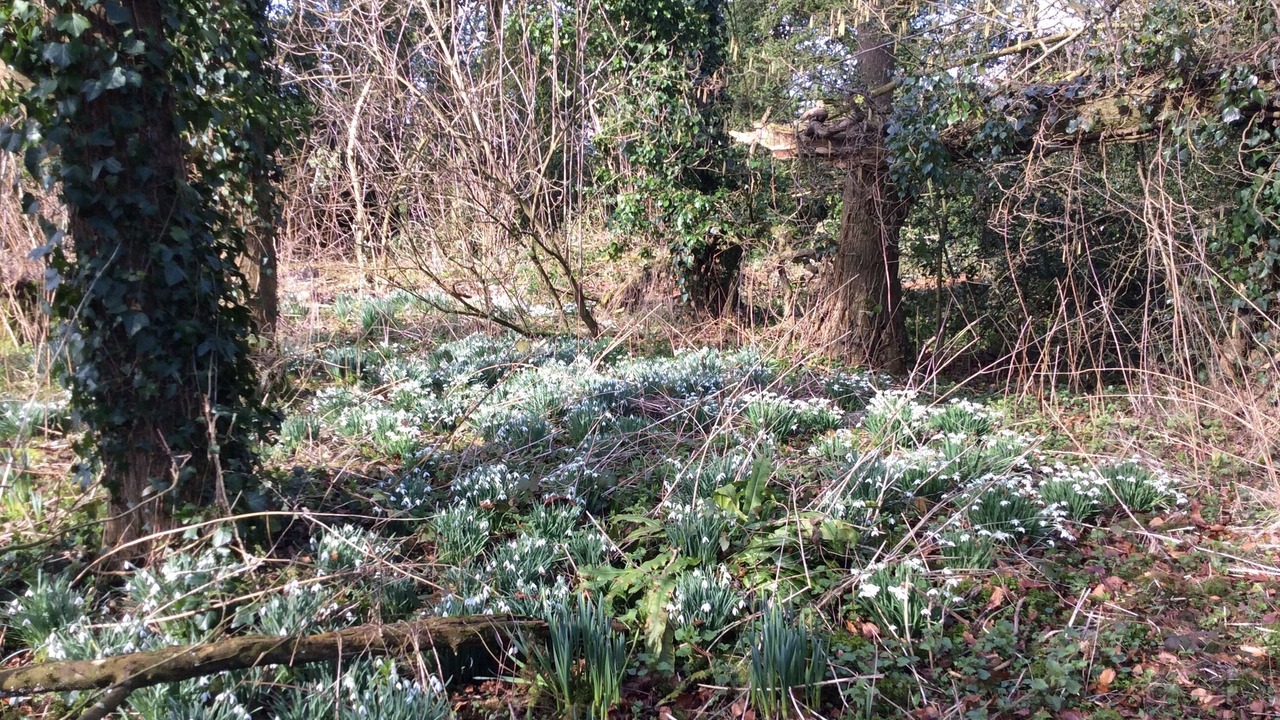 Photo of Outdoor in Ebbesborne Wake