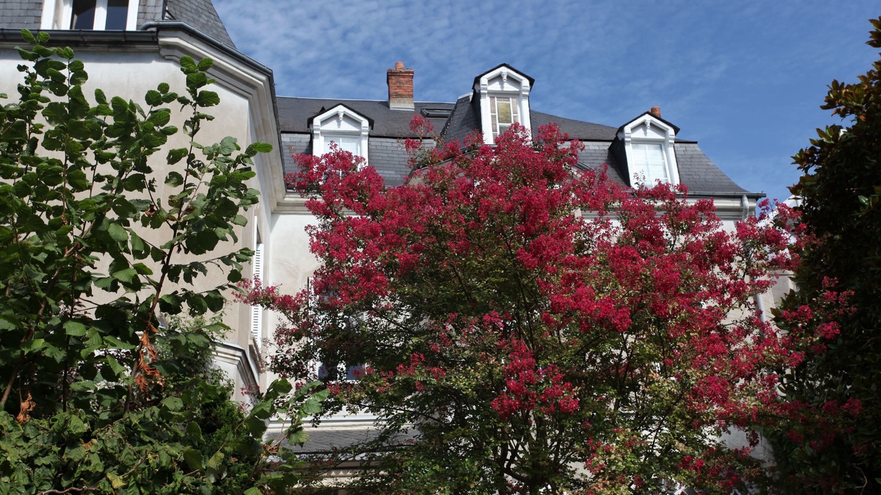 Photo of Outdoor in Cathedrale