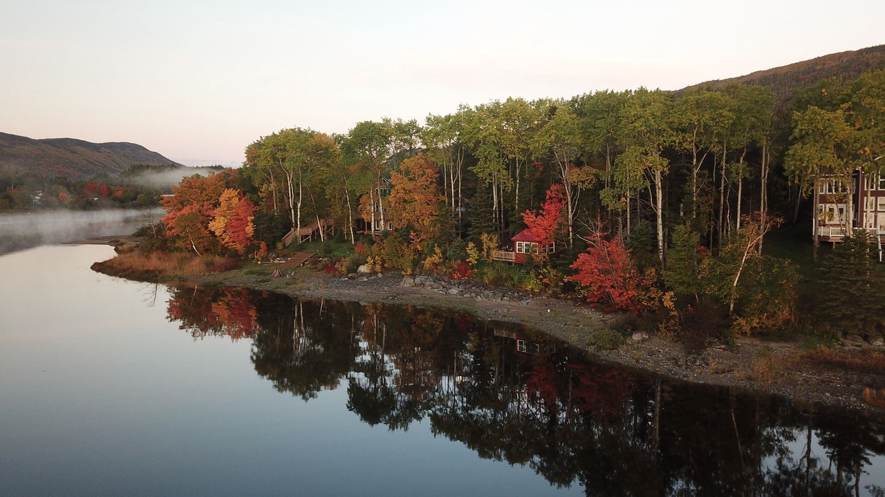 Photo of Outdoor in Humber Valley