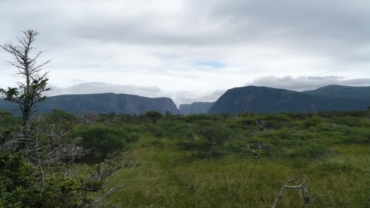 Photo of Others in Humber Valley