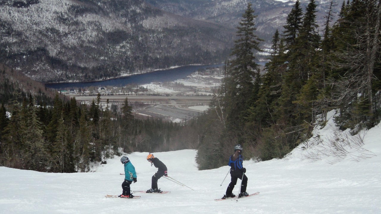 Photo of Others in Humber Valley