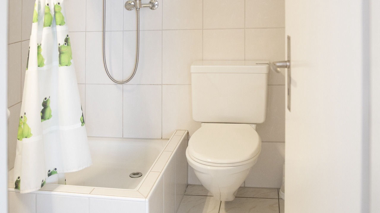 Photo of Bathroom in Arbon