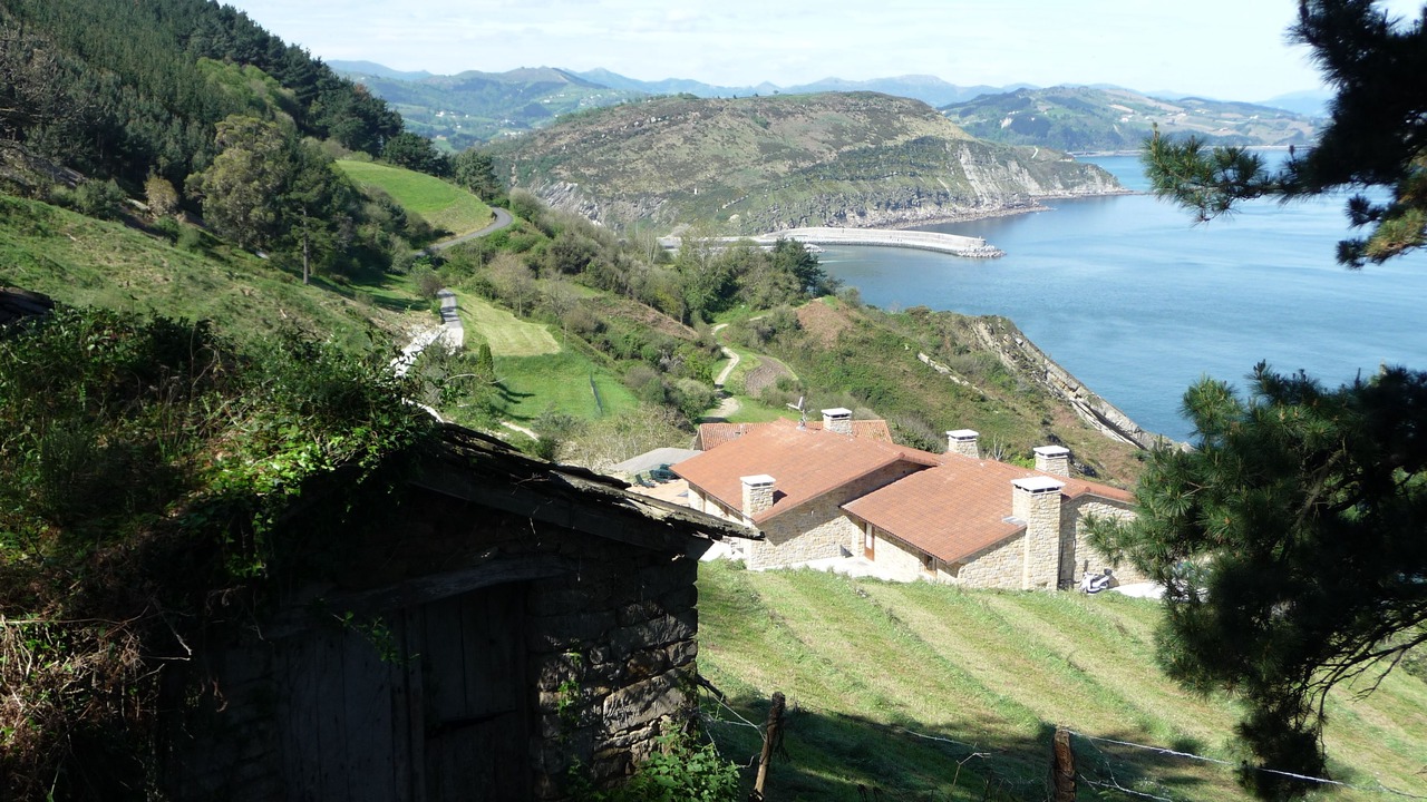 Photo of Others in Orio