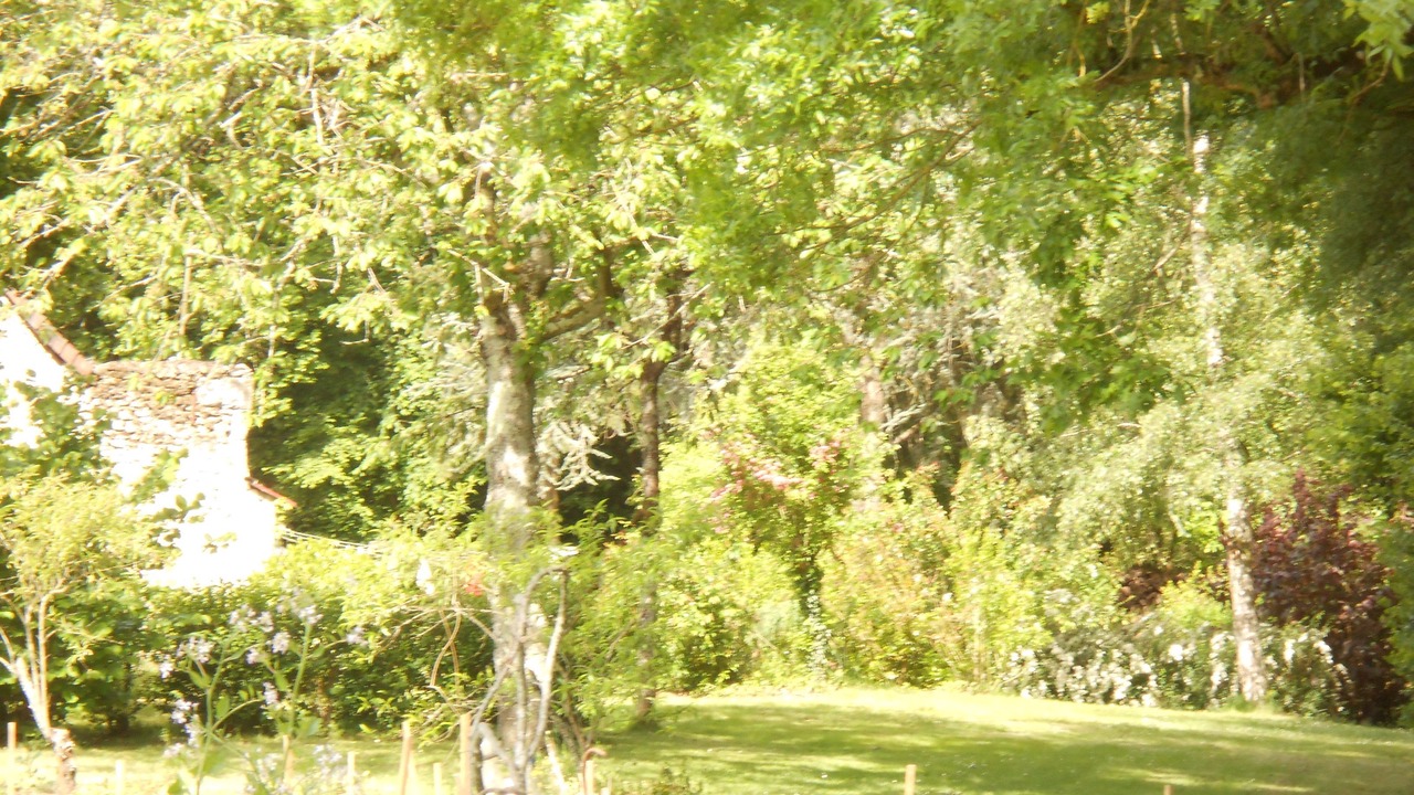 Photo of Outdoor in Pontlevoy