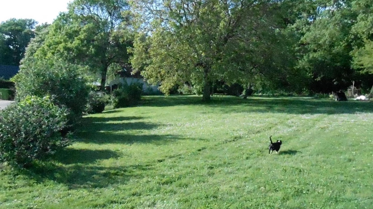 Photo of Outdoor in Pontlevoy