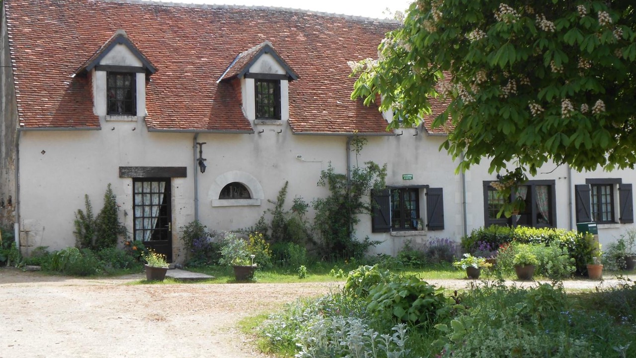 Photo of Outdoor in Pontlevoy