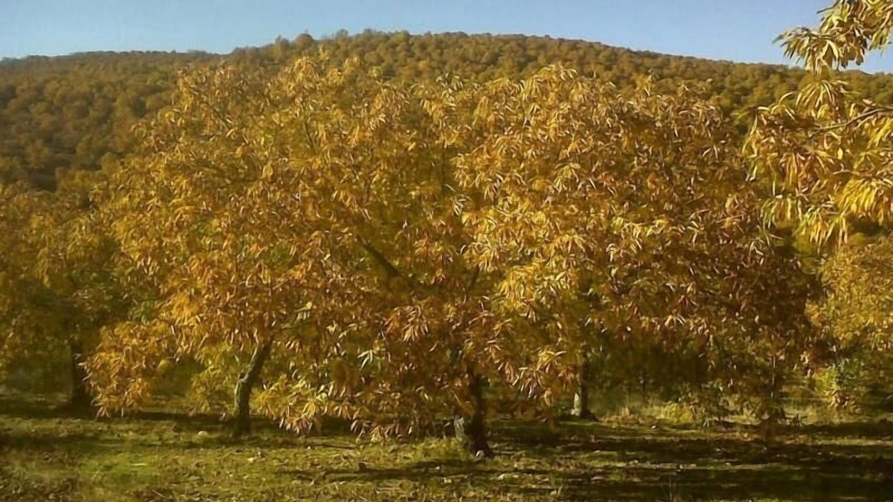 Photo of Outdoor in Guadalupe