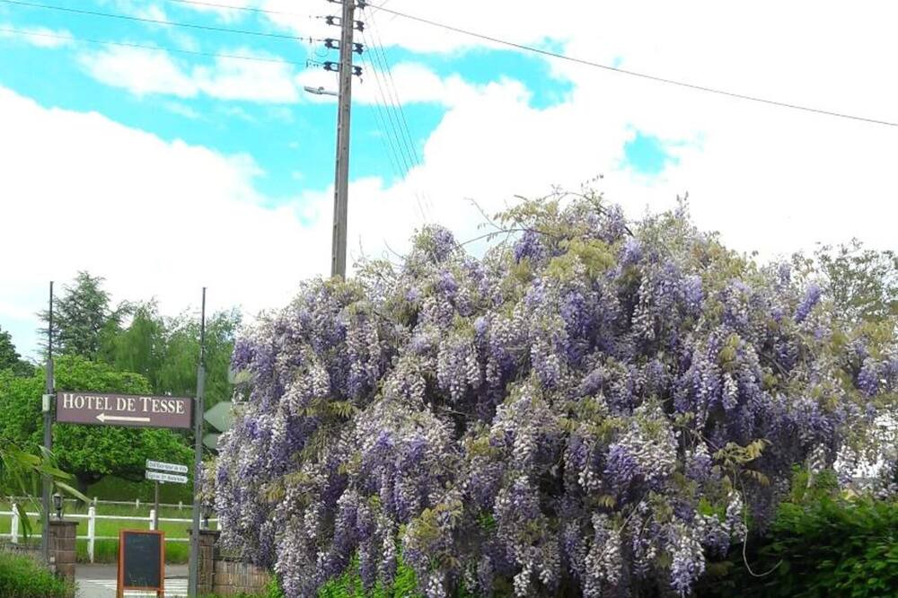 Photo of Outdoor in Bagnoles-de-l'Orne