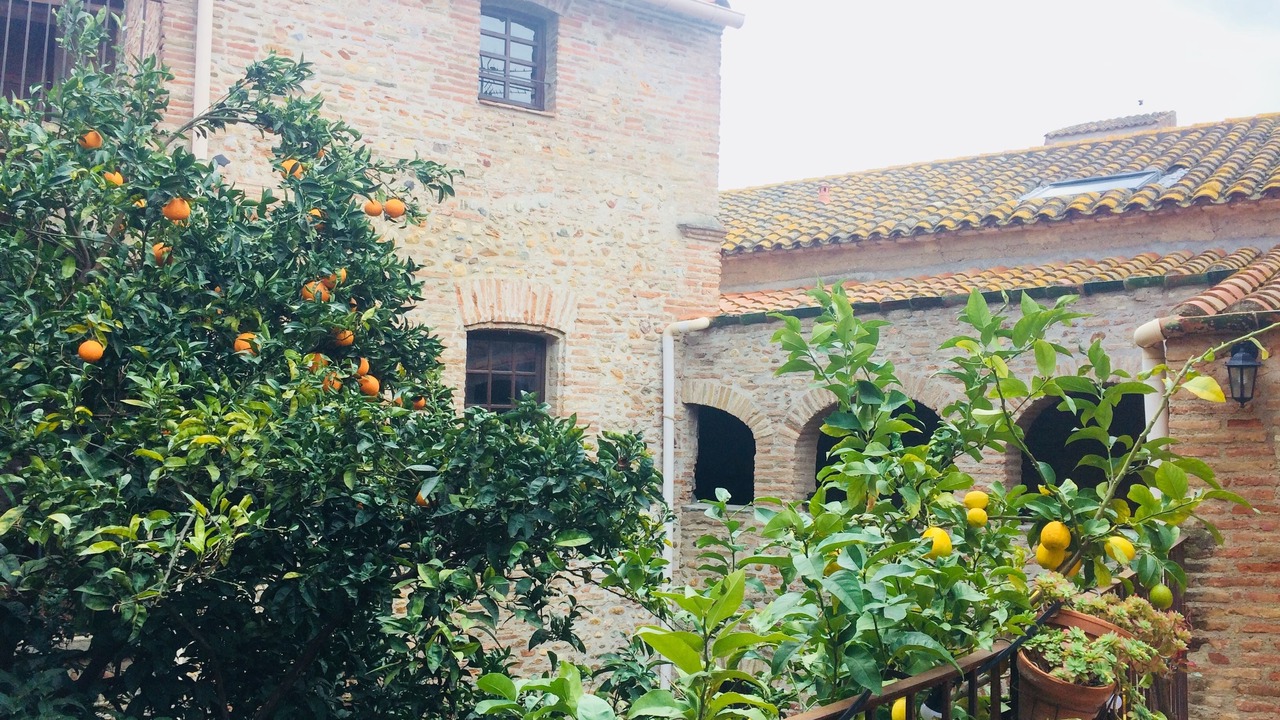 Photo of Patio Balcony in Torreilles