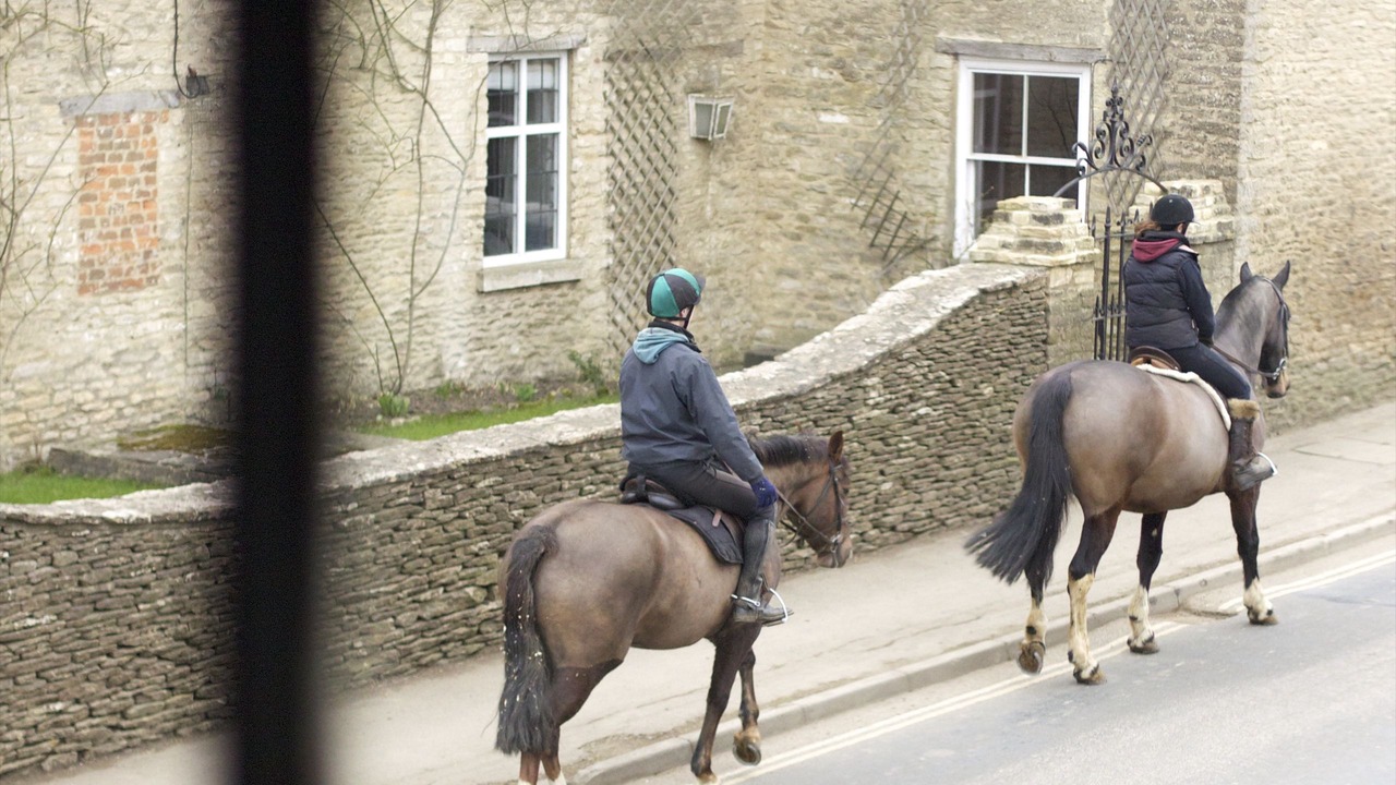 Photo of Others in Badminton