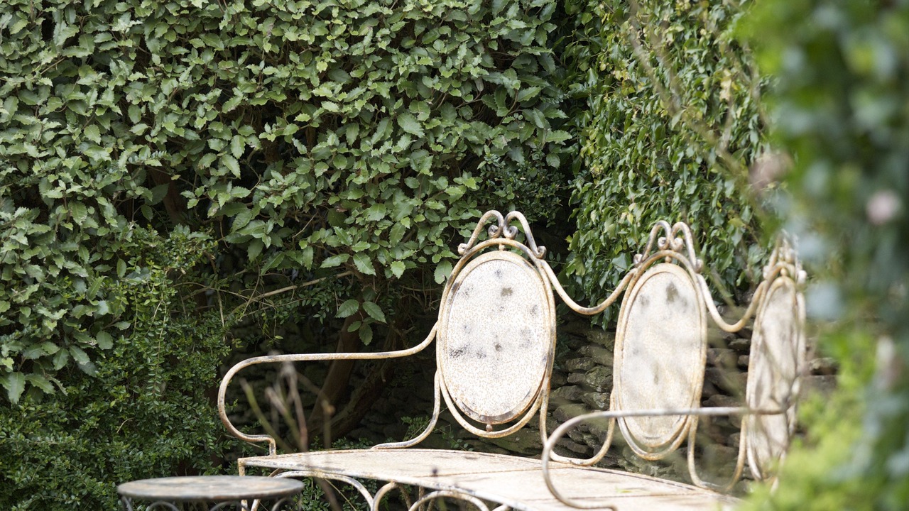 Photo of Outdoor in Badminton