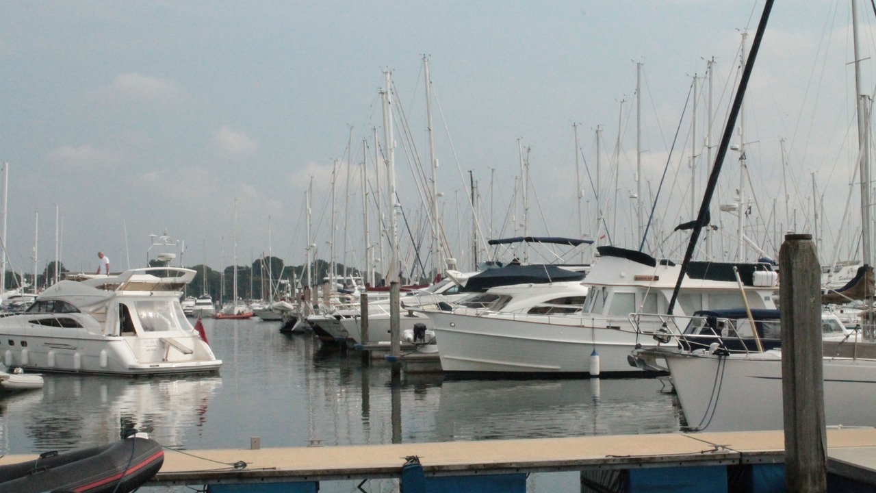 Photo of Others in New Forest District