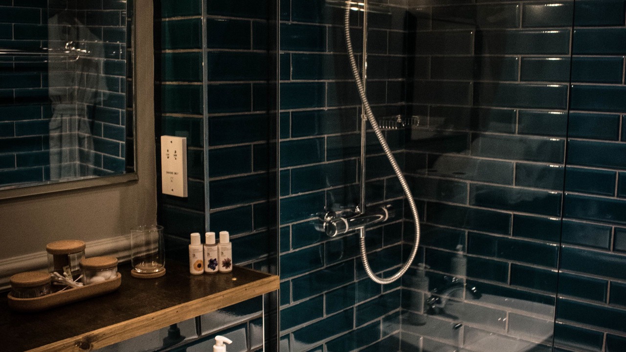 Photo of Others in New Forest District