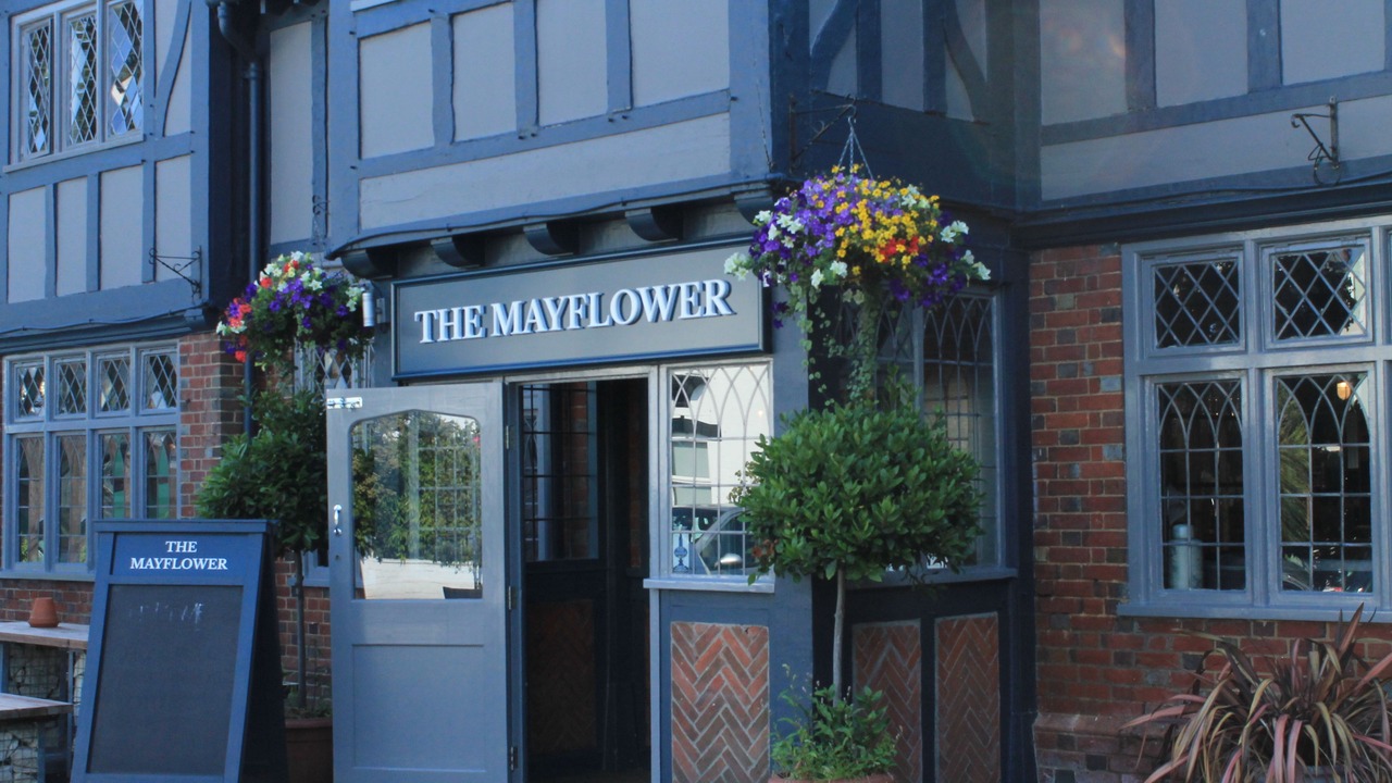 Photo of Outdoor in New Forest District