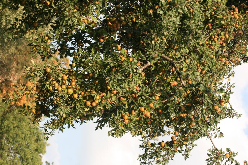 Photo of Outdoor in Brackney