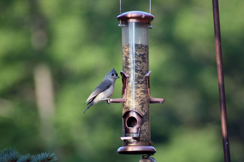 Photo of Patio Balcony in Brackney