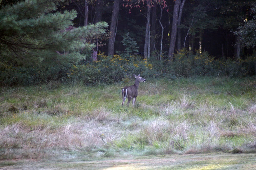 Photo of Outdoor in Brackney