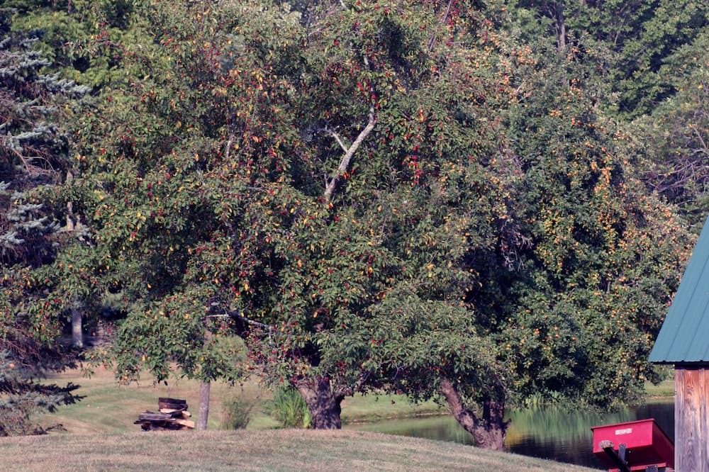 Photo of Outdoor in Brackney