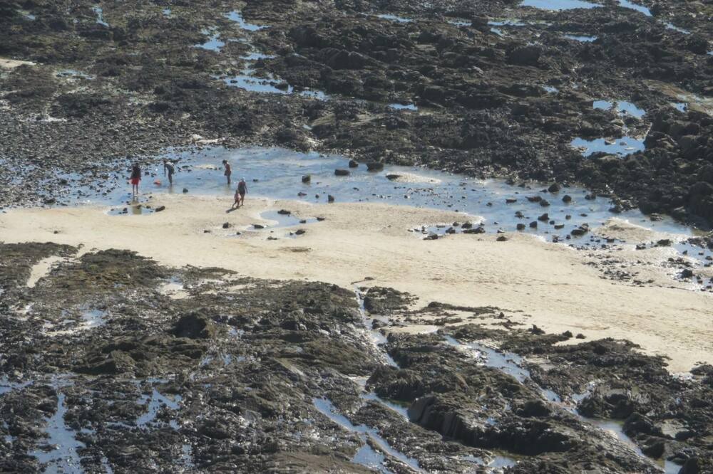 Photo of Others in Dragey-Ronthon