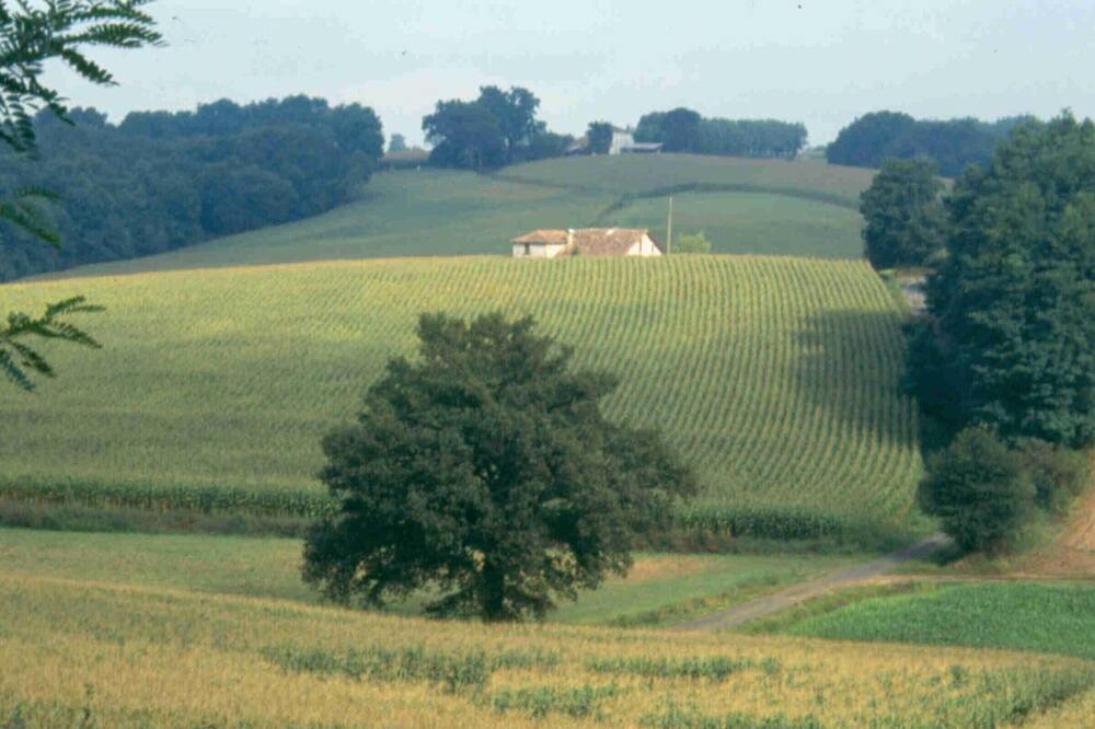 Photo of Others in Mugron