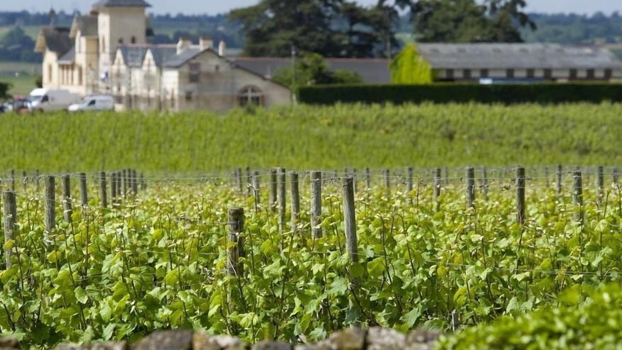 Photo of Outdoor in Beaulieu-sur-Layon