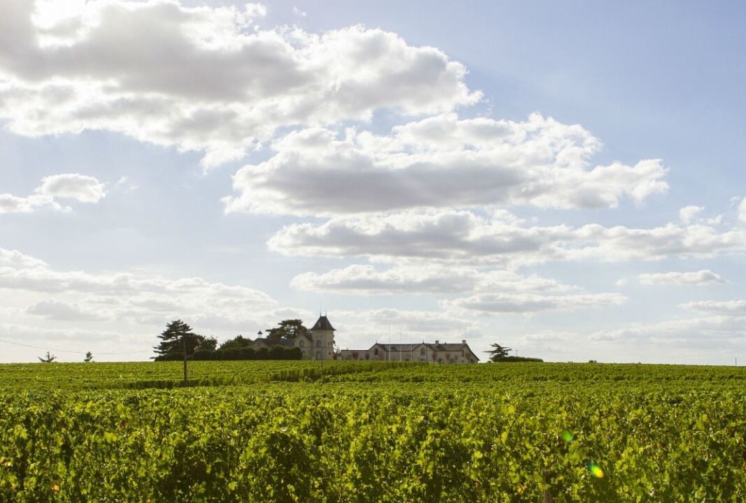Photo of Outdoor in Beaulieu-sur-Layon