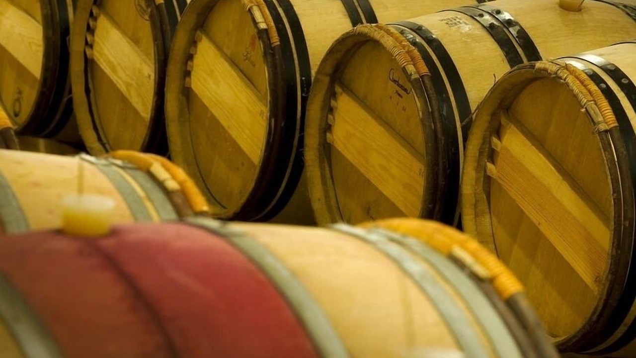 Photo of Others in Beaulieu-sur-Layon