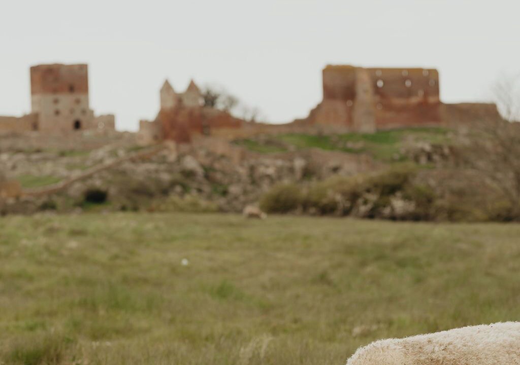 Photo of Outdoor in Sandvig