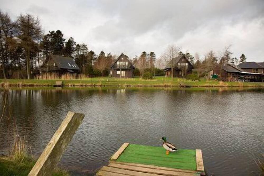 Photo of Others in Murthill