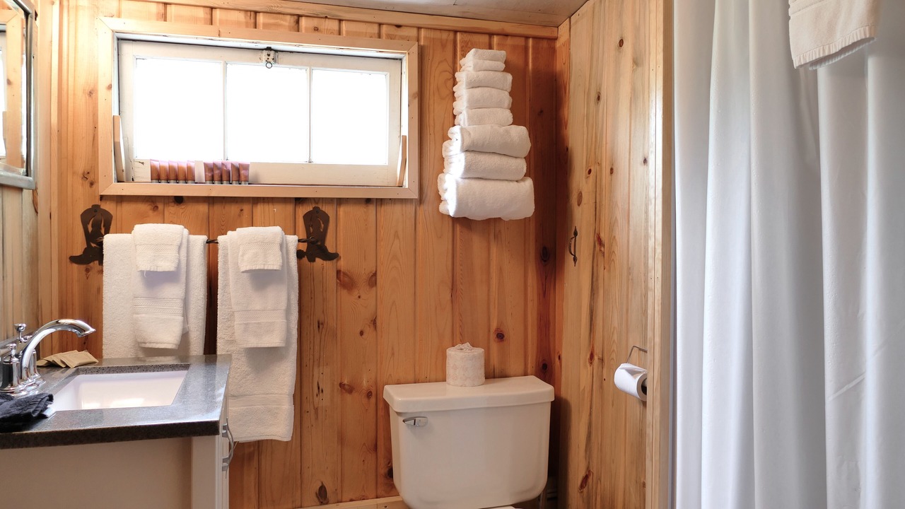 Photo of Bathroom in Wapiti