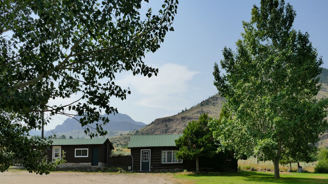 Photo of Outdoor in Wapiti