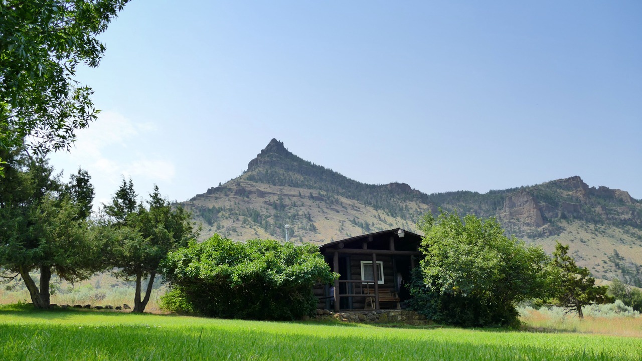 Photo of Others in Wapiti