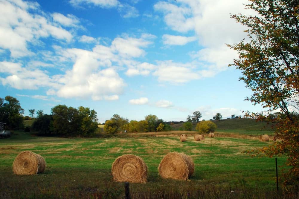 Photo of Outdoor in Benquet