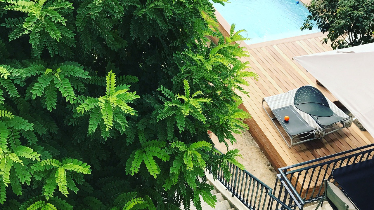 Photo of Outdoor in Cluny