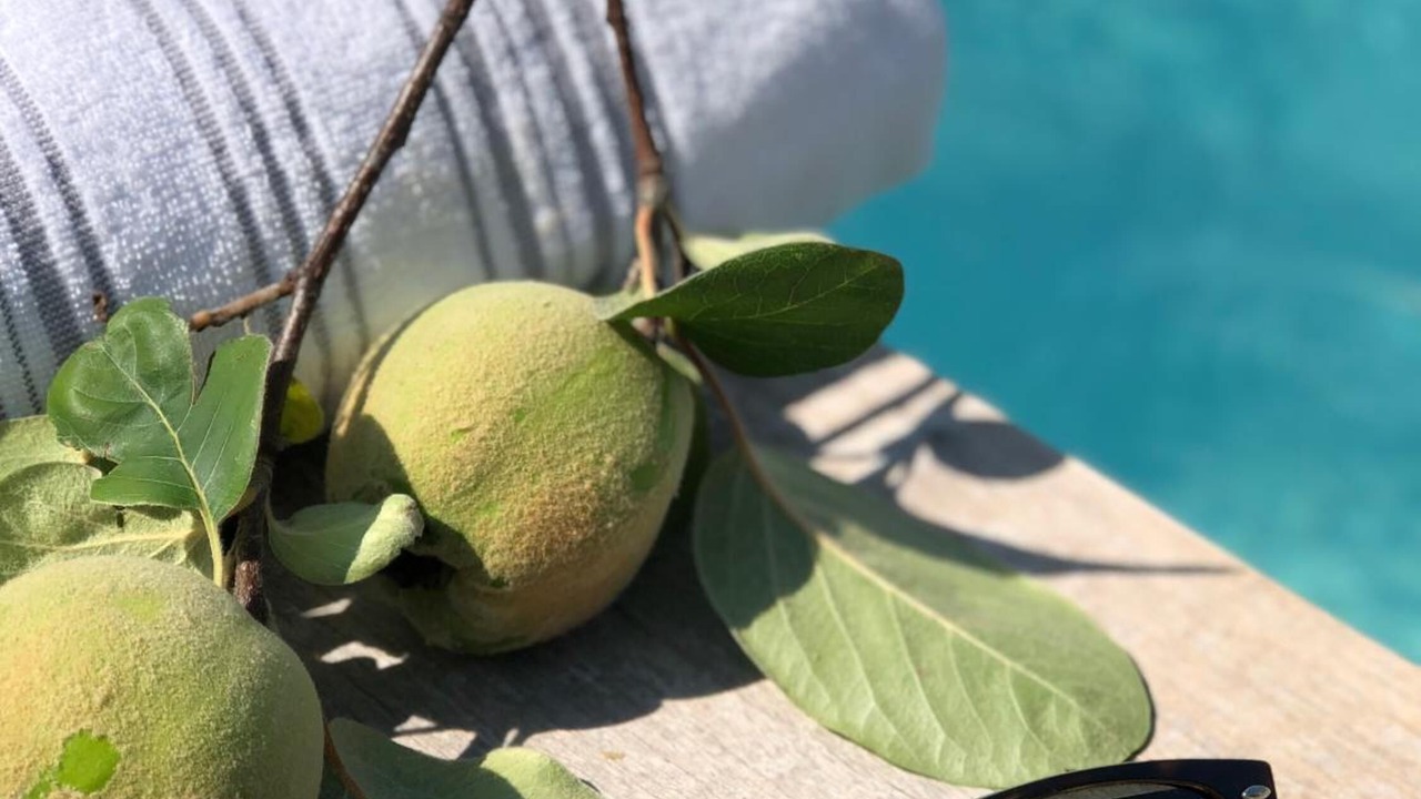 Photo of Others in Cluny