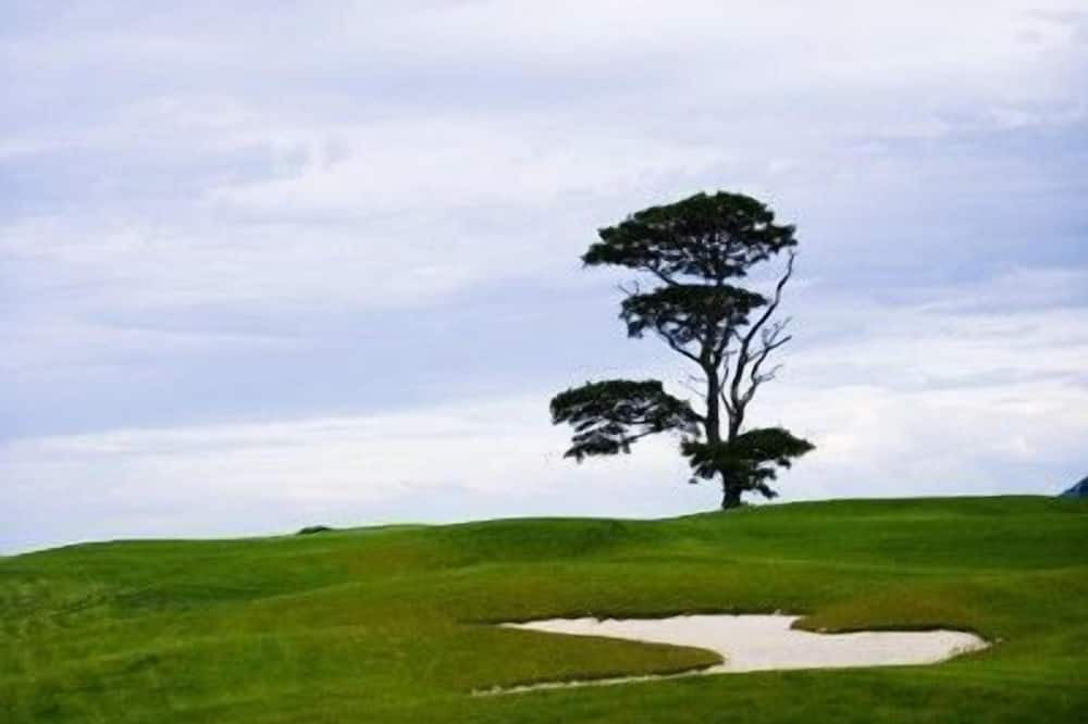 Photo of Others in Murthill