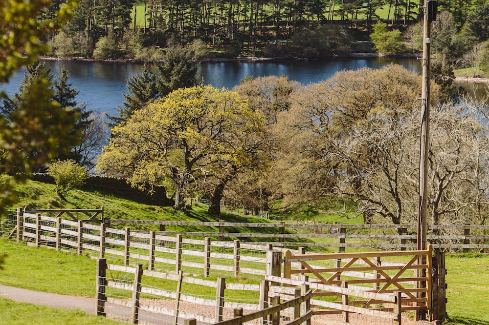 Photo of Others in Castle Carrock