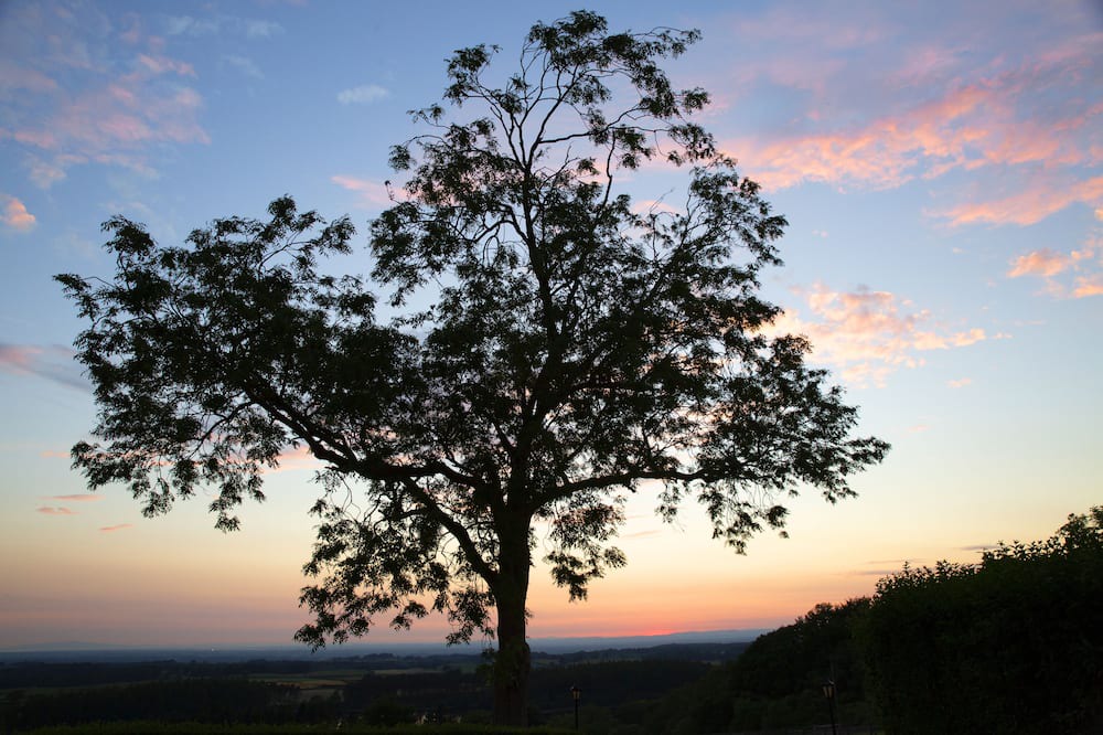 Photo of Others in Castle Carrock
