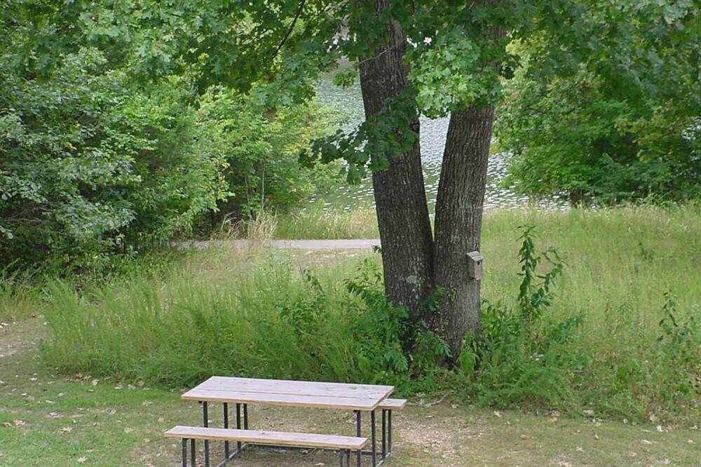 Photo of Others in Holiday Island
