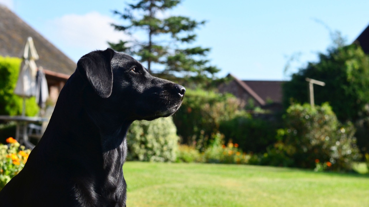Photo of Others in Chelmarsh
