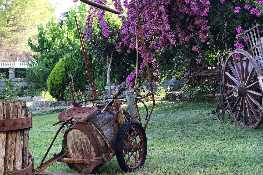 Photo of Outdoor in Can Trabal