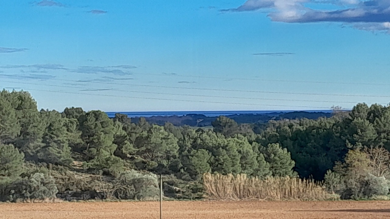 Photo of Others in Montagnac