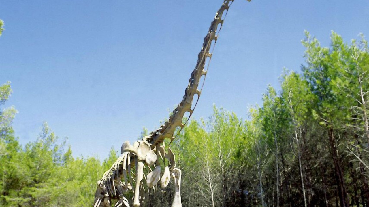 Photo of Others in Montagnac