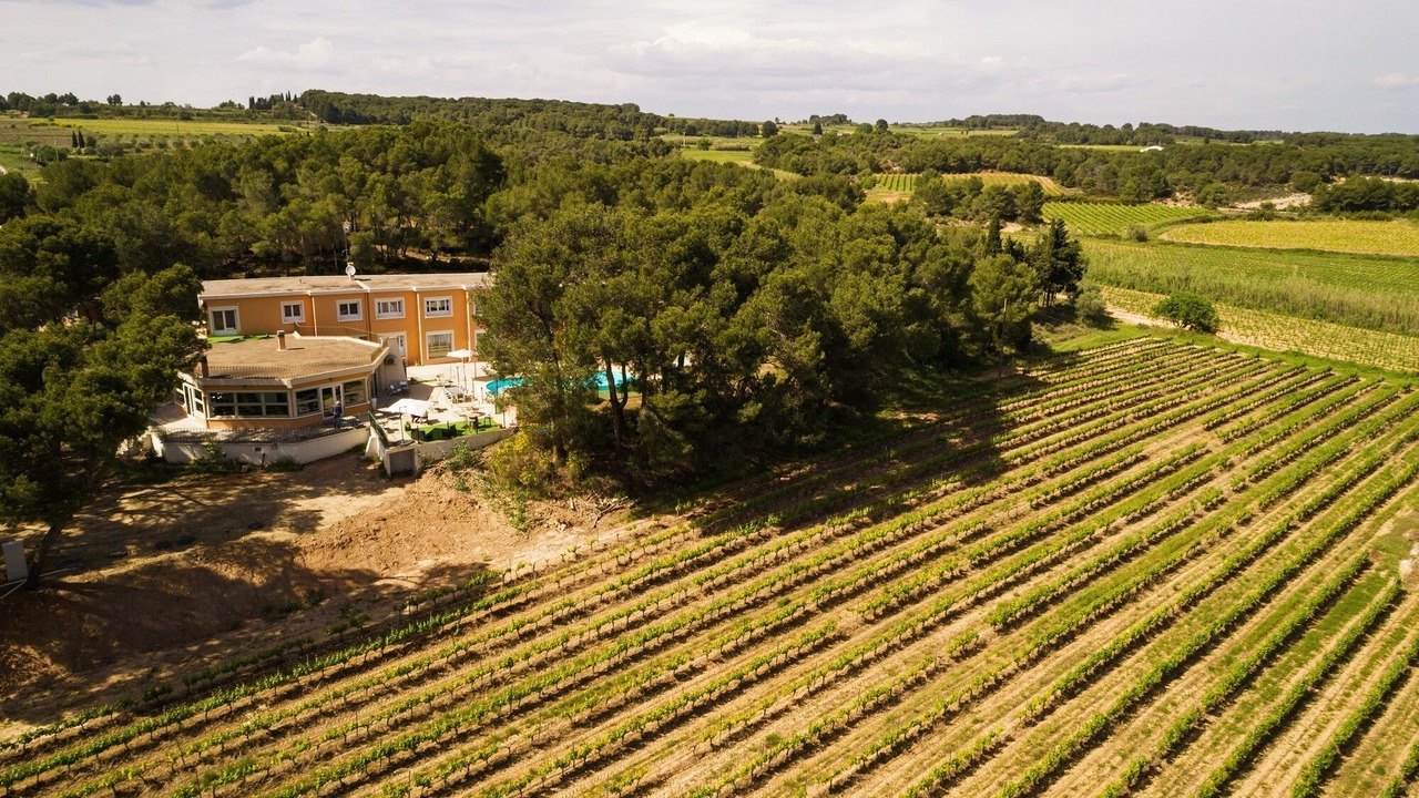 Photo of Outdoor in Montagnac