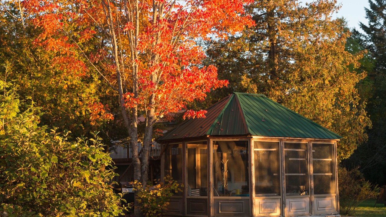 Photo of Outdoor in La Peche