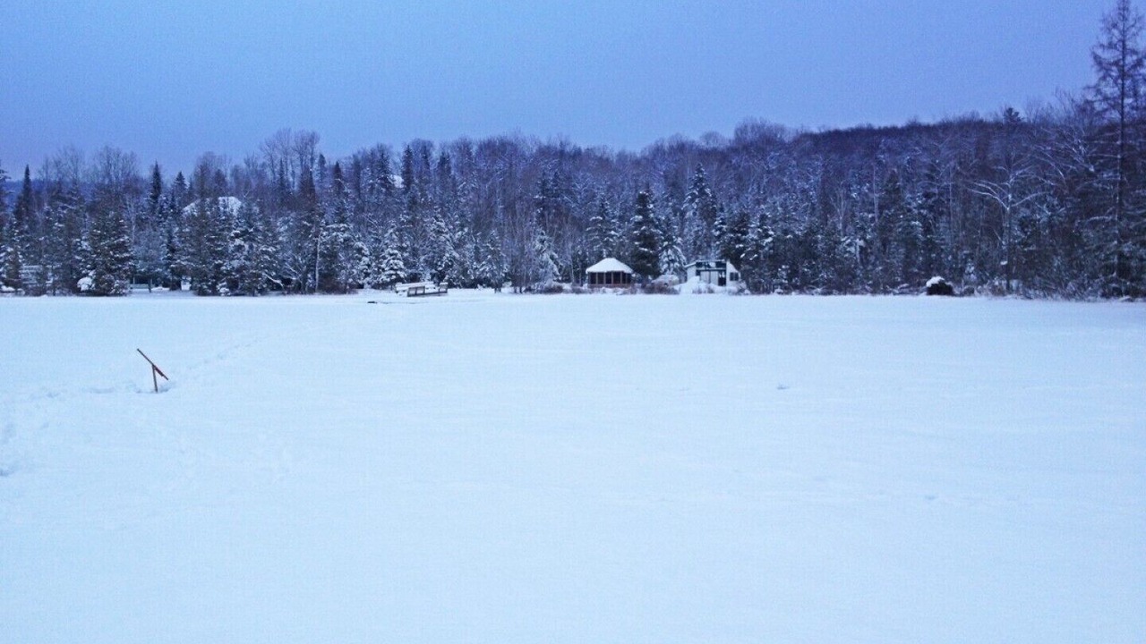 Photo of Others in La Peche